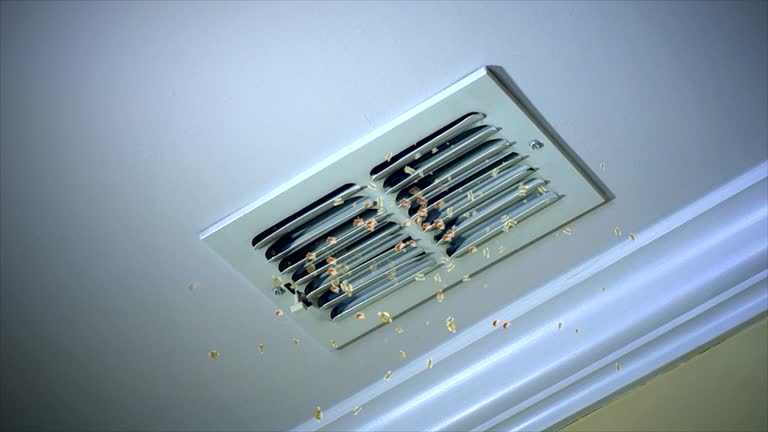 Best Affordable HVAC Duct Cleaning  in Bessemer, AL