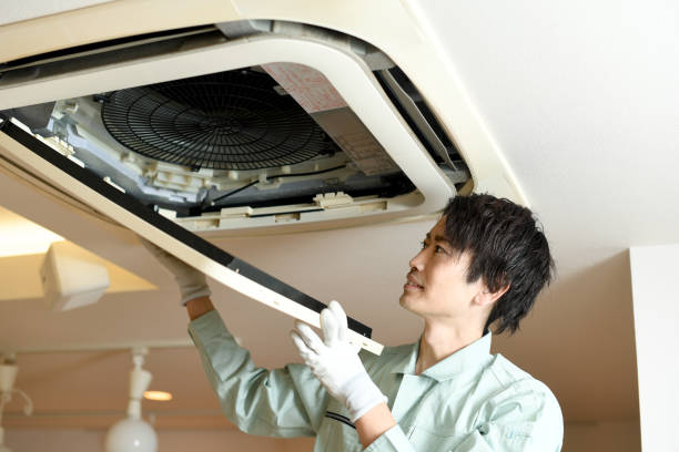 Best Air Duct Mold Removal  in Bessemer, AL